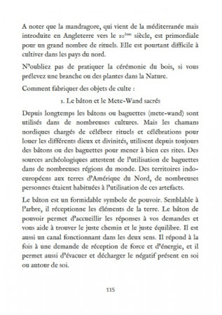 Initiation aux Croyances Vikings